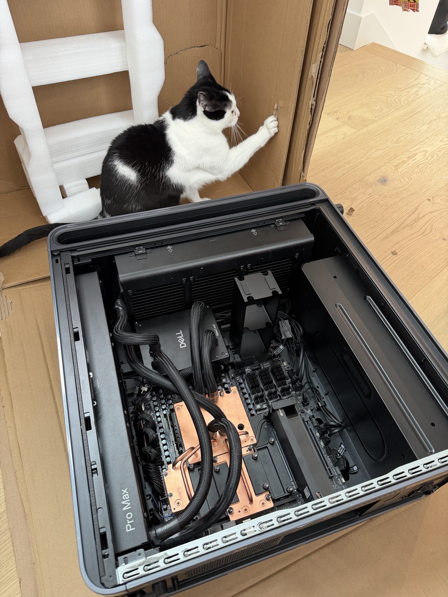 Interior of Snowflake's delivered Dell Pro Max with GB300, posted by Jeff Rasley in a DGX Station thread with Stas Bekman and NVIDIA